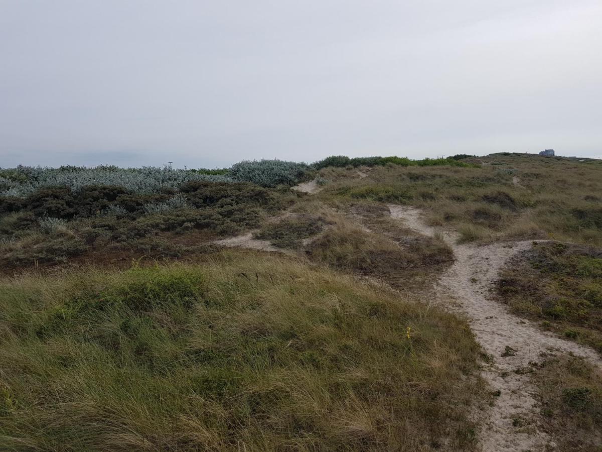 Seacottage Blankenberge - Wenduine De Haan Bagian luar foto