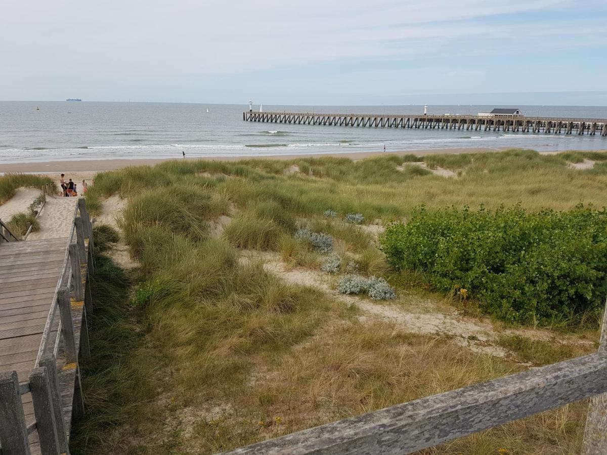 Seacottage Blankenberge - Wenduine De Haan Bagian luar foto